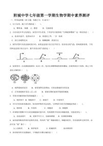 广东省汕尾市海丰县附城中学2024～2025学年七年级(上)期中生物试卷(含答案)