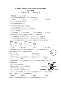 湖南省长沙市开福区青竹湖湘一外国语学校2024～2025学年七年级(上)期中生物试卷(含答案)