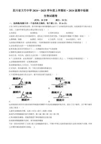 四川省达州市大竹县大竹中学2024～2025学年七年级(上)期中生物试卷(含答案)