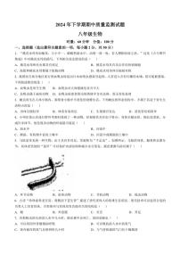 湖南省岳阳市岳阳县2024～2025学年八年级(上)期中生物试卷(含答案)
