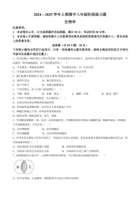 河南省周口市西华县2024～2025学年八年级(上)期中生物试卷(含答案)