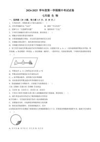 甘肃省武威市凉州区片区2024～2025学年七年级(上)期中生物试卷(含答案)