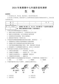 河南省南阳市淅川县2024～2025学年七年级(上)期中阶段调研生物试卷(含答案)