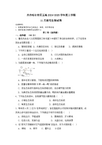 黑龙江省齐齐哈尔市区五地联考2024-2025学年七年级上学期11月月考生物试题