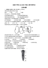 重庆市长寿实验中学校2024-2025学年八年级上学期期中生物学试题(无答案)