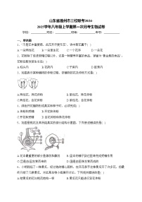 山东省德州市三校联考2024-2025学年八年级上学期第一次月考生物试卷(含答案)