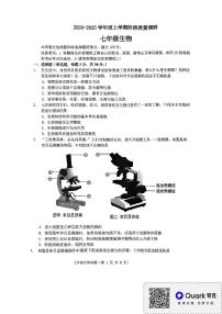 山东省临沂市平邑县2024-2025学年七年级上学期11月期中生物试题