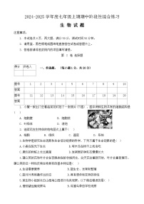 河南省信阳市2024-2025学年七年级上学期11月期中生物试题