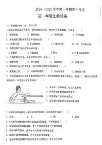 甘肃省嘉峪关市实验中学2024-2025学年八年级上学期10月期中生物试题