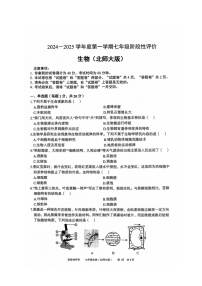 安徽省淮北市第一中学2024-2025学年七年级上学期11月期中考试生物试题