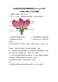 2024-2025学年山东省滨州市阳信县集团校联考八年级(上)10月月考生物试卷（解析版）