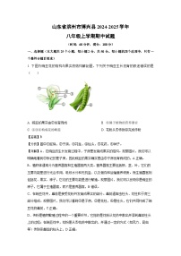 2024-2025学年山东省滨州市博兴县八年级(上)期中生物试卷（解析版）