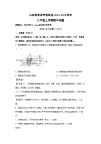 2023-2024学年山东省菏泽市成武县八年级(上)期中生物试卷（解析版）