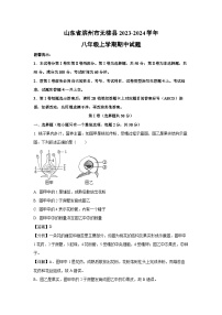 2023-2024学年山东省滨州市无棣县八年级(上)期中生物试卷（解析版）