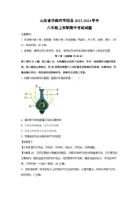 2023-2024学年山东省济南市平阴县八年级(上)期中考试生物试卷（解析版）