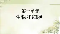 初中生物人教版（2024）七年级上册（2024）第一节 观察周边环境中的生物获奖ppt课件