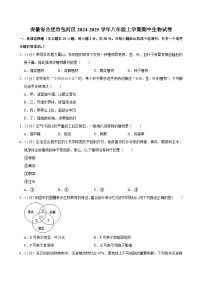 安徽省合肥市包河区2024-2025学年八年级上学期期中生物试卷