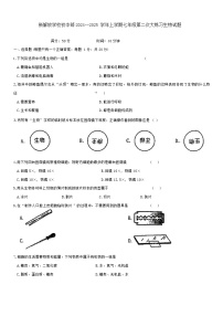 吉林省长春市新解放学校初中部2024-2025学年七年级上学期第二次大练习（期中）生物试题