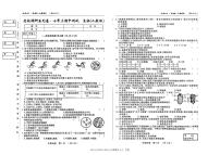 吉林省吉林市第九中学2024-2025学年七年级上学期期中考试生物试卷