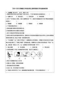 2024～2025学年山东省德州市齐河县潘店镇中学七年级(上)阶段复习学业检测生物试卷(含答案)