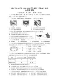 2024～2025学年江苏省泰州市靖江市滨江学校二校联考八年级(上)期中生物试卷(含答案)