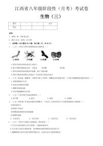 2024～2025学年江西省上饶市鄱阳县湖城学校八年级(上)期中生物试卷(含答案)