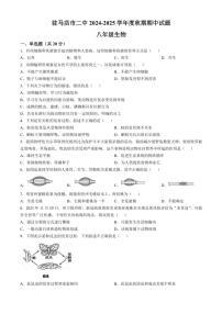 2024～2025学年河南省驻马店市第二初级中学八年级(上)期中生物试卷(含答案)