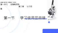 初中人教版（2024）第一节 学习使用显微镜精品课件ppt