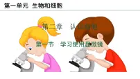 初中生物人教版（2024）七年级上册（2024）第一节 学习使用显微镜完整版课件ppt