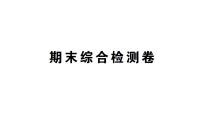 初中生物新人教版七年级上册期末综合检测课件2024秋