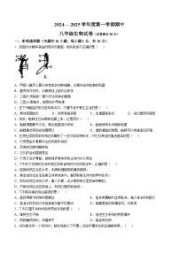 内蒙古呼和浩特市赛罕区2024-2025学年八年级上学期期中生物学试题(无答案)