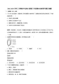 2024-2025学年初中生物（人教版）八年级上册期末必刷常考题：细菌