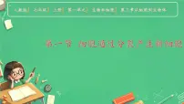 生物七年级上册（2024）第一节 细胞通过分裂产生新细胞课堂教学课件ppt
