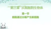 初中生物人教版（2024）七年级上册（2024）第一节 细胞通过分裂产生新细胞课文内容课件ppt