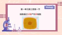 生物第一单元 生物和细胞第三章 从细胞到生物体第一节 细胞通过分裂产生新细胞集体备课ppt课件