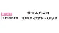 人教版（2024）七年级上册（2024）综合实践项目 利用细菌或真菌制作发酵食品作业ppt课件