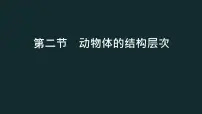 初中生物人教版（2024）七年级上册（2024）第二节 动物体的结构层次精品课件ppt