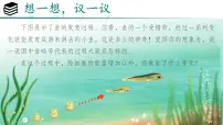 人教版（2024）七年级上册（2024）第一单元 生物和细胞第三章 从细胞到生物体第二节 动物体的结构层次优质ppt课件