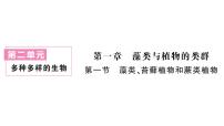 初中生物人教版（2024）七年级上册（2024）第一节 藻类、苔藓和蕨类作业课件ppt