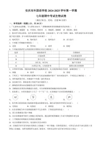 安徽省安庆市外国语学校2024～2025学年七年级(上)期中生物试卷(含答案)