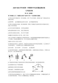 江苏省南通市2024～2025学年七年级(上)期中生物试卷(含答案)