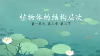 初中生物人教版（2024）七年级上册（2024）第一单元 生物和细胞第三章 从细胞到生物体第三节 植物体的结构层次精品课件ppt