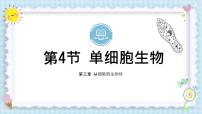 人教版（2024）七年级上册（2024）第四节 单细胞生物精品ppt课件