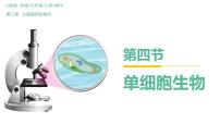 初中人教版（2024）第四节 单细胞生物评优课ppt课件