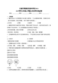 太原市晋源区实验中学校2024-2025学年七年级上学期10月月考生物试卷(含答案)