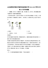 2024-2025学年山东省青岛市胶州市瑞华实验初级中学七年级(上)10月月考生物试卷(解析版)