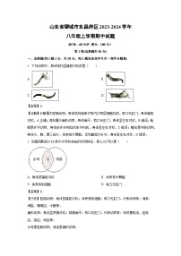 2023-2024学年山东省聊城市东昌府区八年级(上)期中生物试卷(解析版)