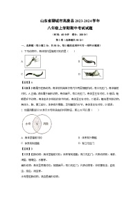 2023-2024学年山东省聊城市高唐县八年级(上)期中生物试卷(解析版)