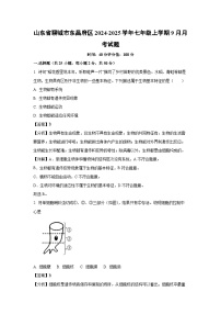 2024-2025学年山东省聊城市东昌府区七年级(上)9月月考生物试卷(解析版)