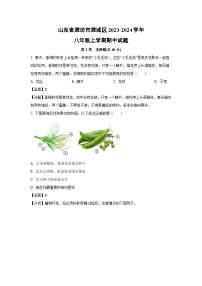 2023-2024学年山东省潍坊市潍城区八年级(上)期中生物试卷(解析版)